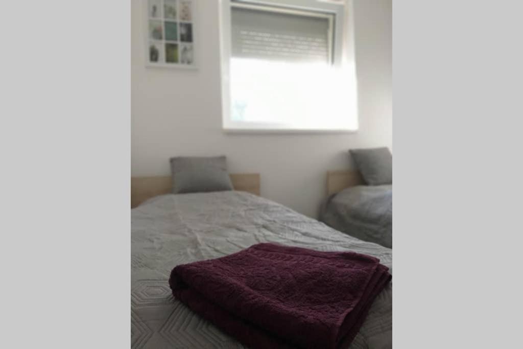 Tölgyerdő Apartman Kismaros Dış mekan fotoğraf