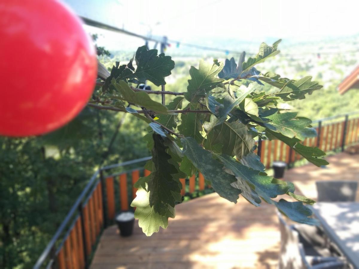 Tölgyerdő Apartman Kismaros Dış mekan fotoğraf